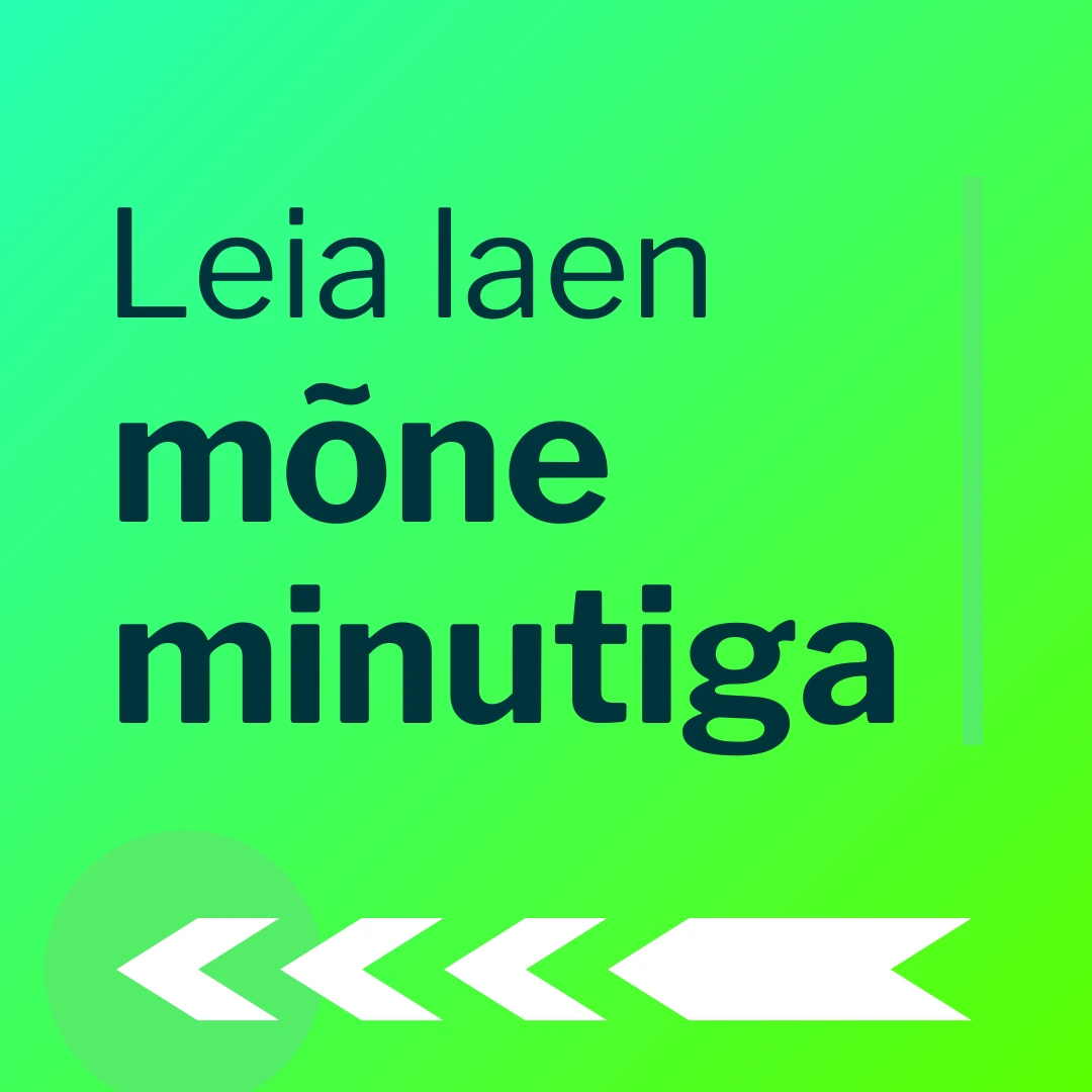 Leia laen mõne minutiga